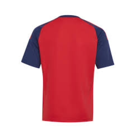 Spain Home Kit